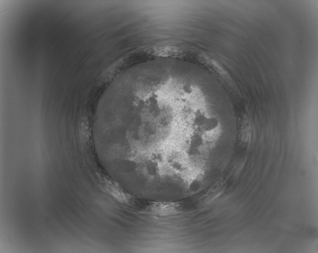 X0000069800569200606021442