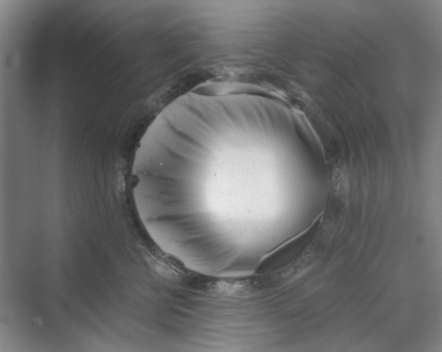 X0000069800570200606021442