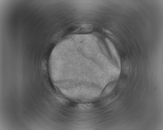 X0000069800571200606021442