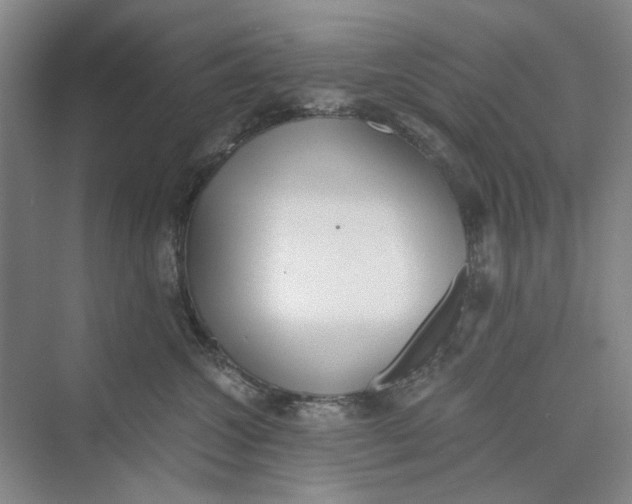 X0000069800572200606021442