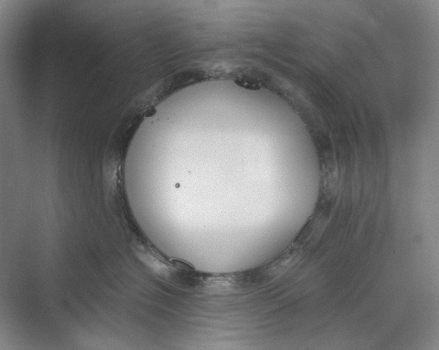 X0000069800574200606021442