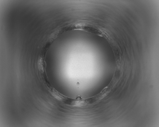 X0000069800575200606021442