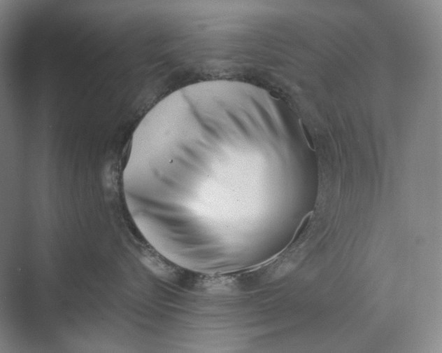 X0000069800576200606021442