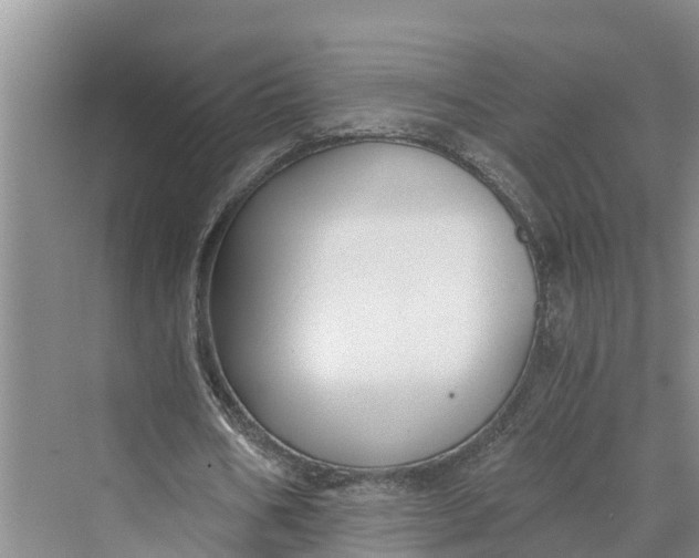 X0000069800578200606021441