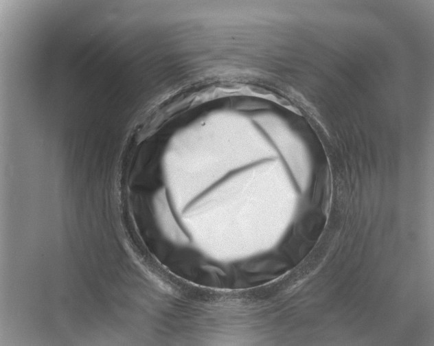 X0000069800581200606021441