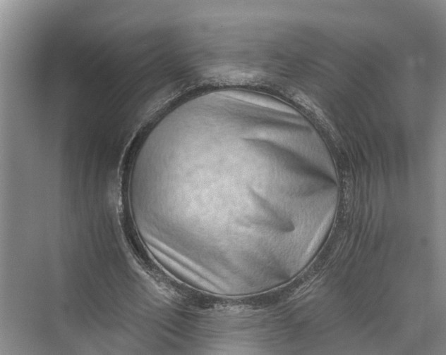 X0000069800582200606021441