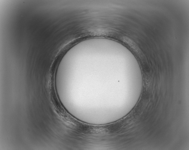 X0000069800583200606021441