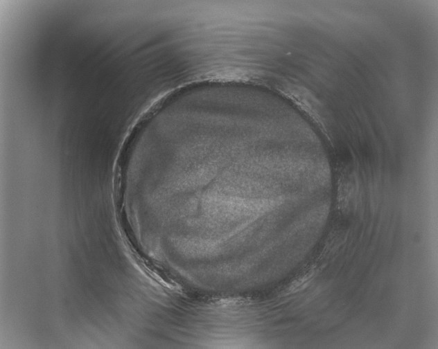 X0000069800584200606021441