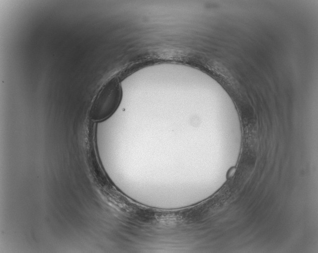 X0000069800587200606021441