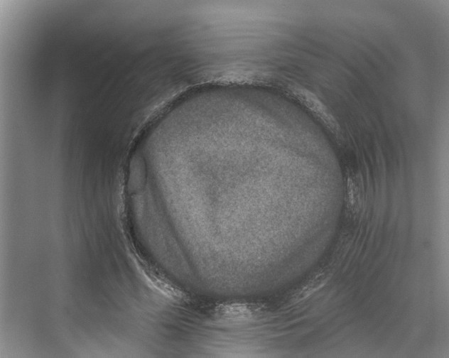 X0000069800588200606021441