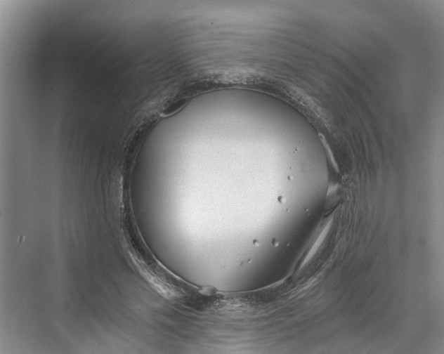 X0000069800589200606021441