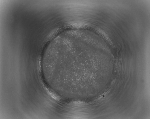 X0000069800590200606021441