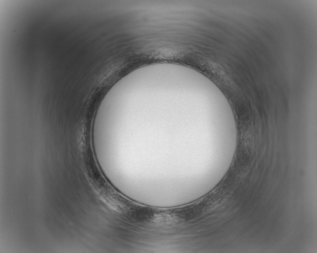 X0000069800591200606021441