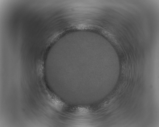 X0000069800592200606021441