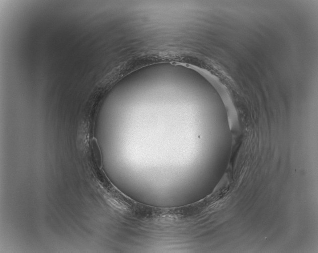 X0000069800593200606021441