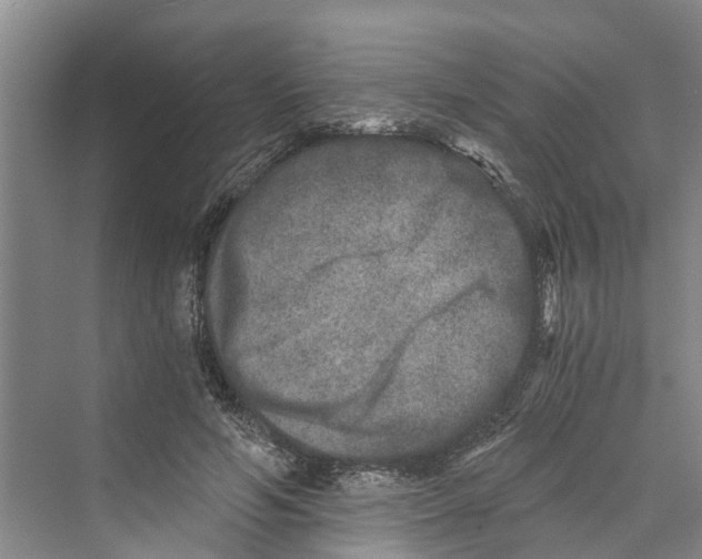 X0000069800594200606021441