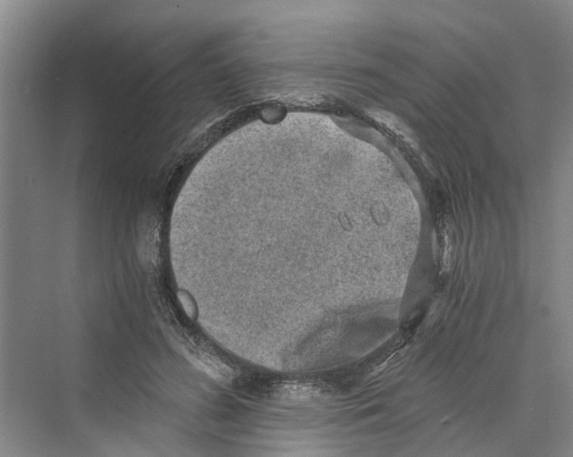 X0000069800596200606021441