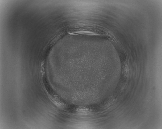 X0000069800598200606021441