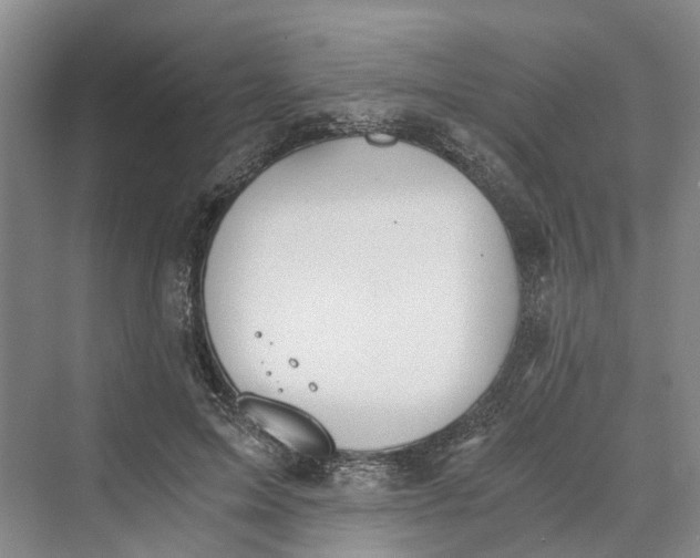 X0000069800599200606021441