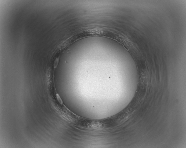 X0000069800600200606021441