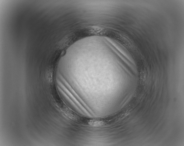 X0000069800602200606021441