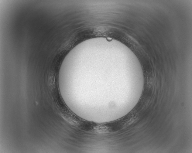 X0000069800603200606021441