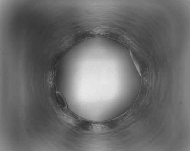 X0000069800605200606021441