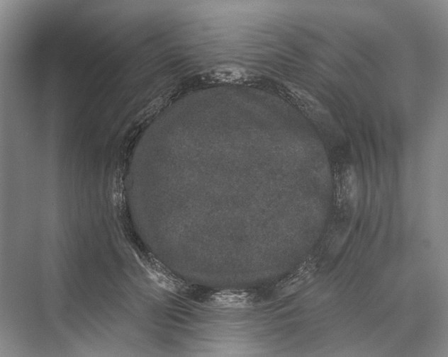 X0000069800606200606021441