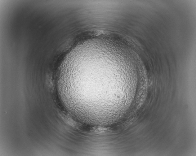 X0000069800607200606021441