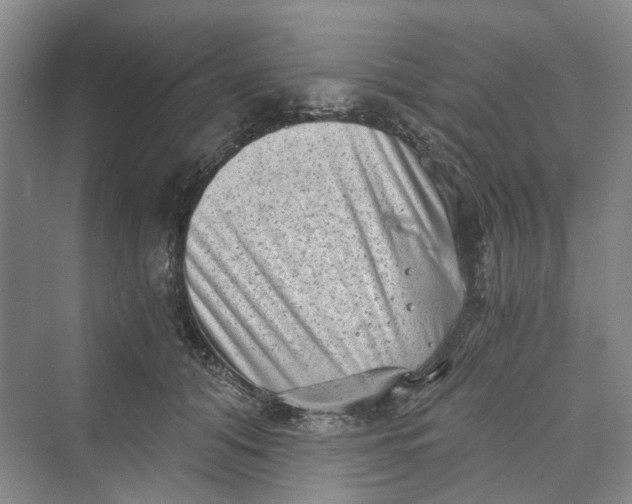 X0000069800608200606021441