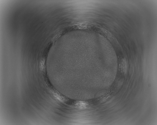 X0000069800610200606021441