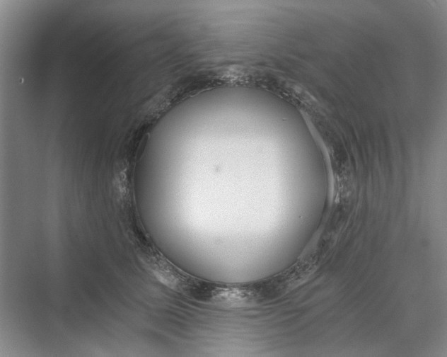 X0000069800611200606021441