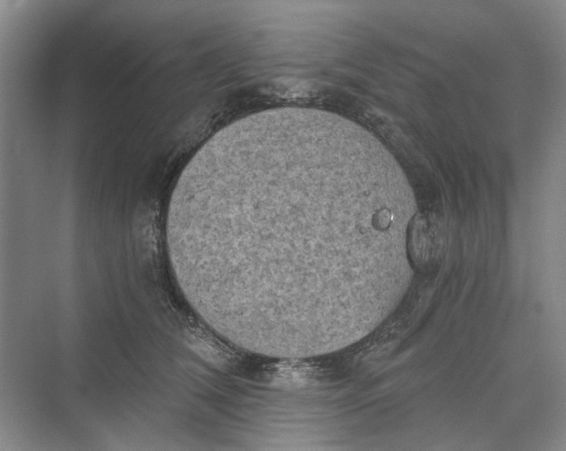 X0000069800612200606021441