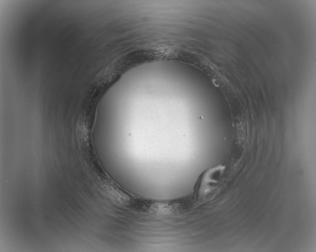 X0000069800613200606021441