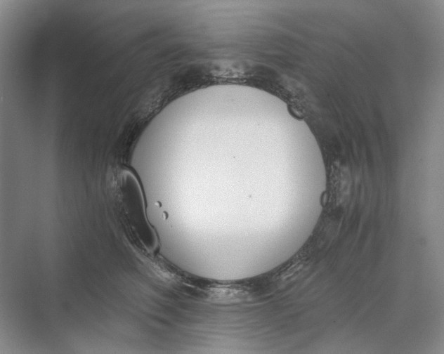 X0000069800614200606021441