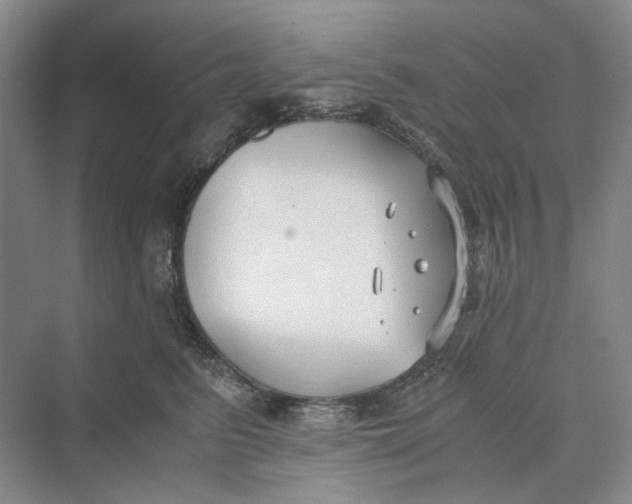 X0000069800615200606021441