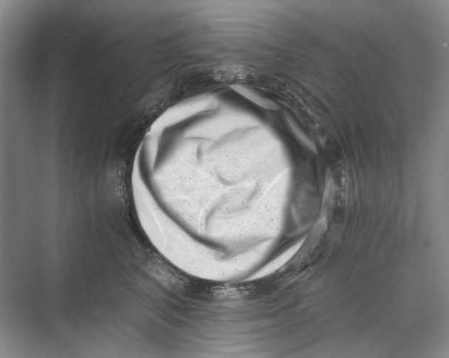 X0000069800616200606021441