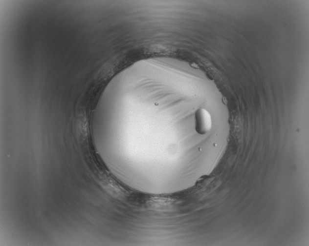 X0000069800617200606021441