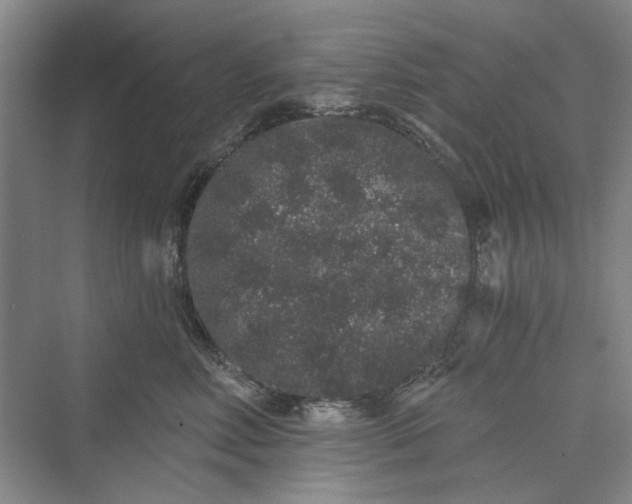 X0000069800618200606021441