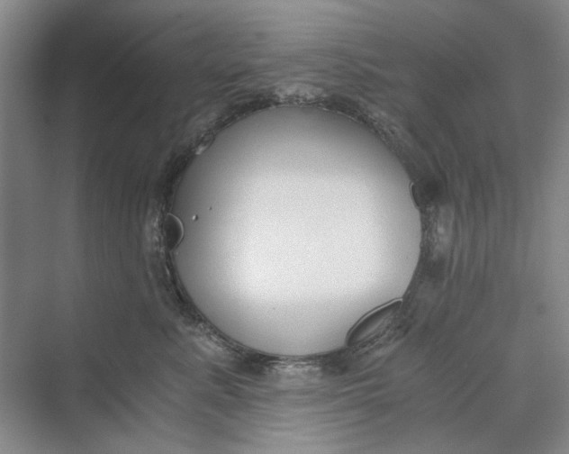 X0000069800619200606021441