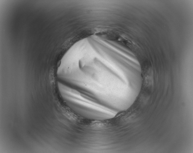 X0000069800620200606021441