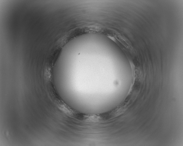 X0000069800621200606021441