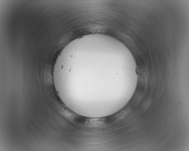 X0000069800622200606021441