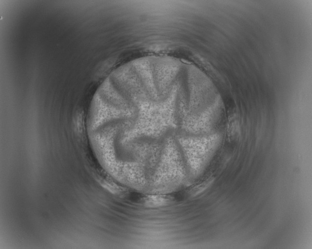 X0000069800623200606021441