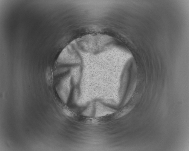 X0000069800624200606021441