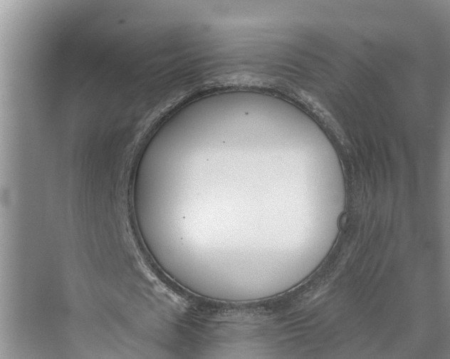 X0000069800625200606021440