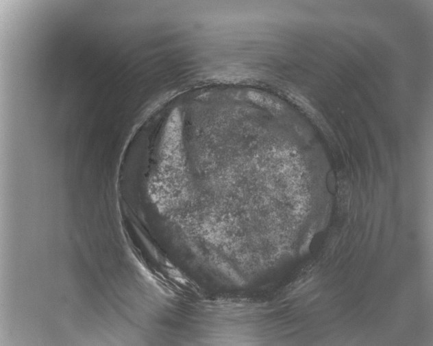 X0000069800626200606021440