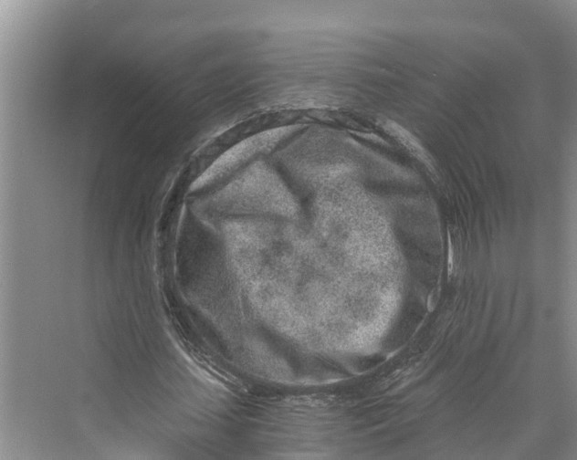 X0000069800627200606021440