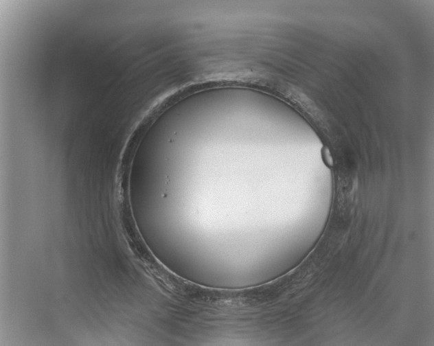 X0000069800628200606021440