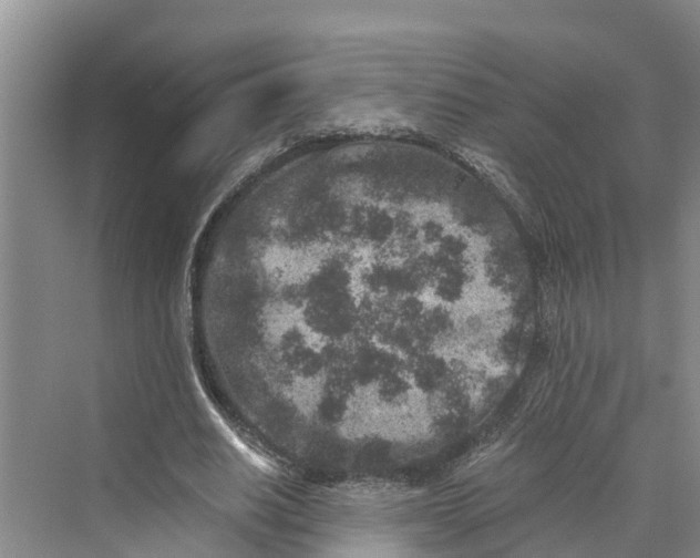 X0000069800630200606021440